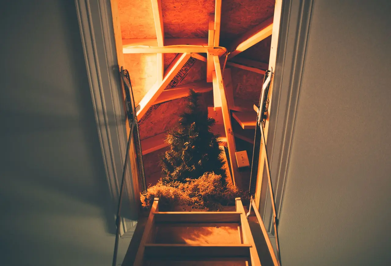 Attic Insulation in Wright
