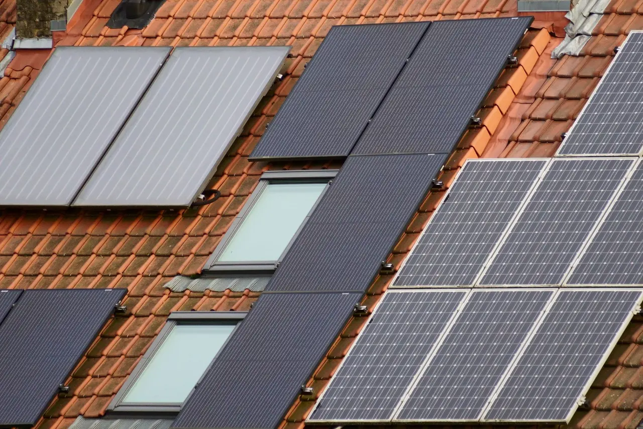 Green Roofing Solutions in Wright