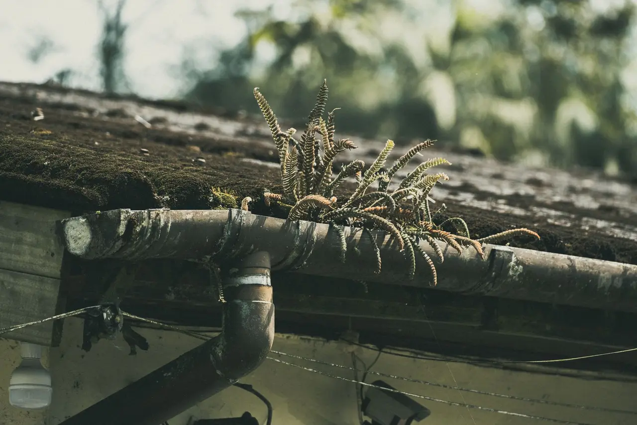 Gutter Cleaning in Wright