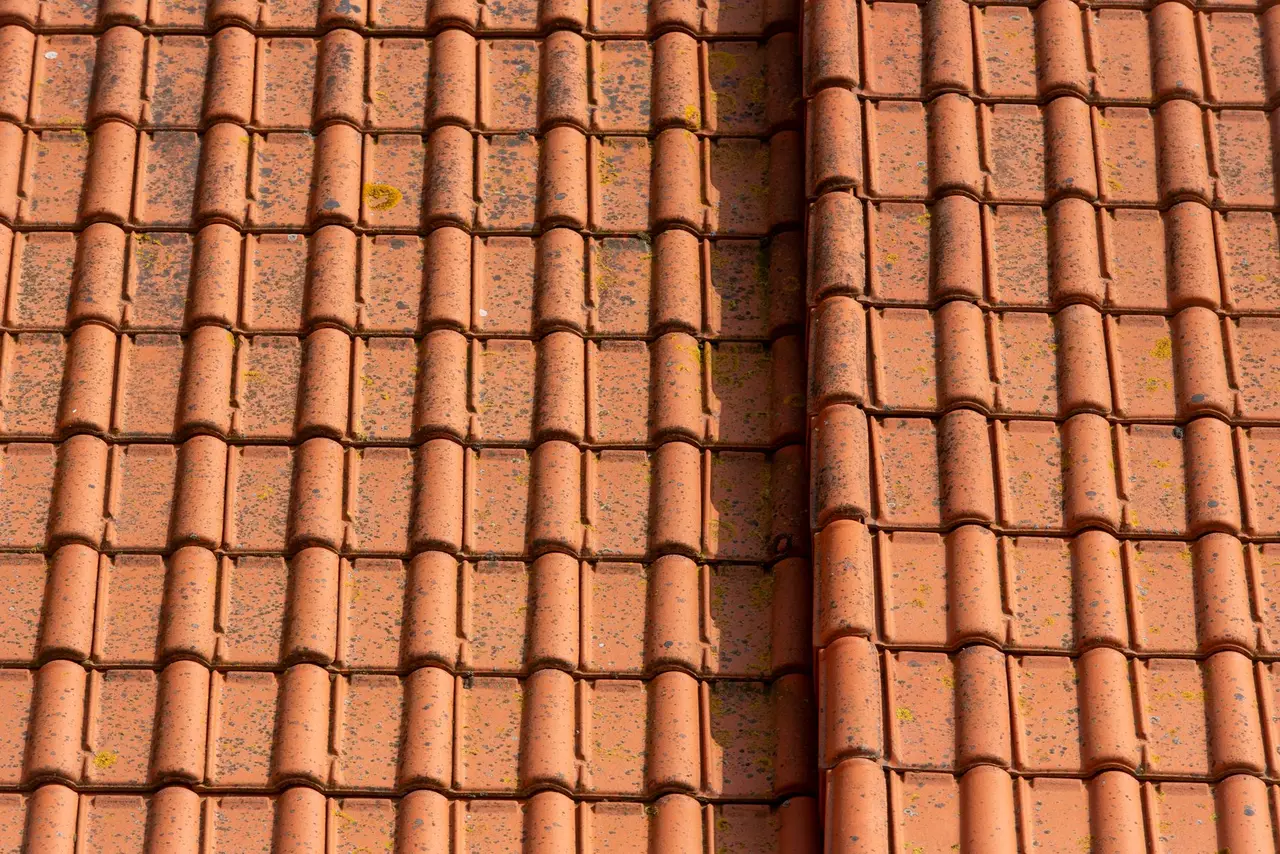 Roof Maintenance in Wright